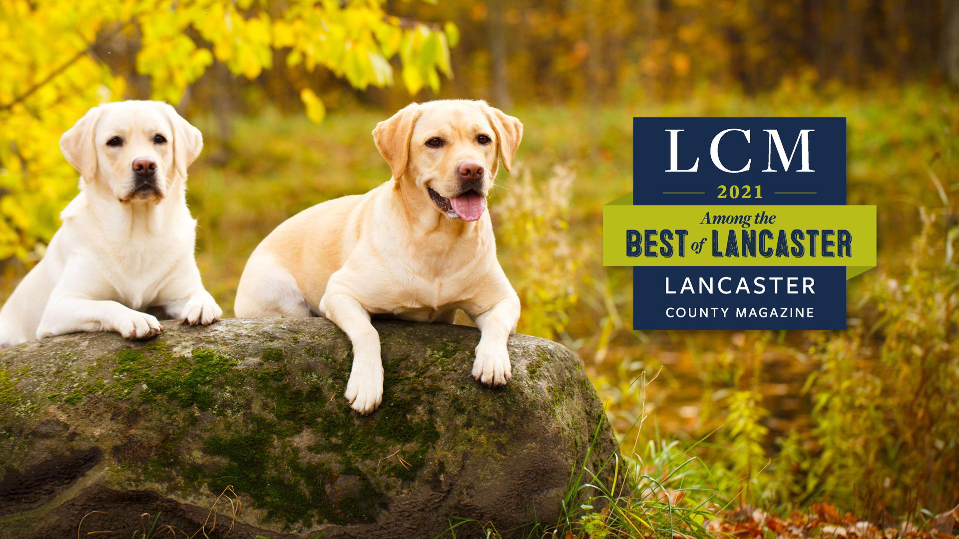 Landisville Animal Hospital - Best of Lancaster Veterinary Care