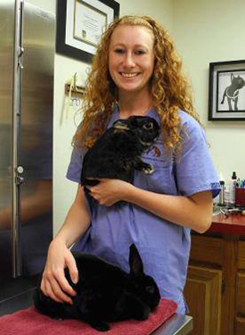 Angelica - Veterinary Assistant