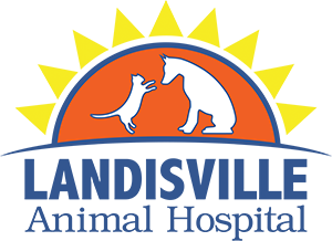 Landisville Animal Hospital
