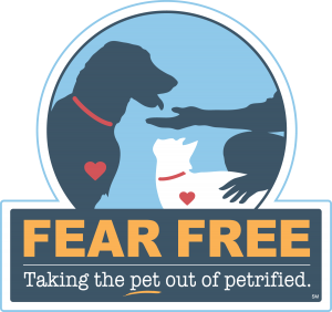 Lancaster veterinary care that's Fear Free Certified